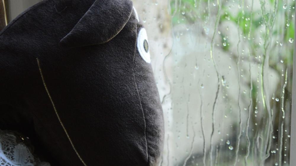 Sur la route de D'Artagnan