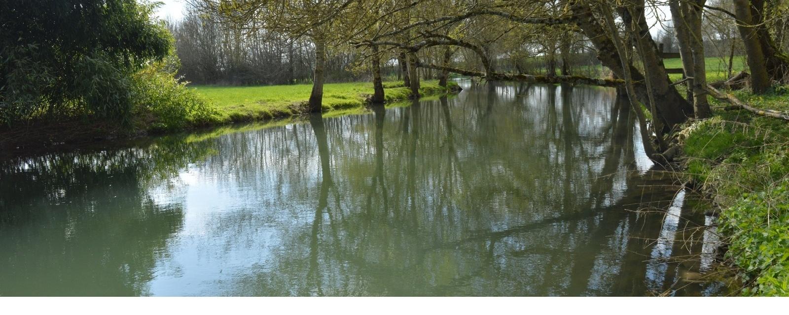 rivière la dive à bonneuil