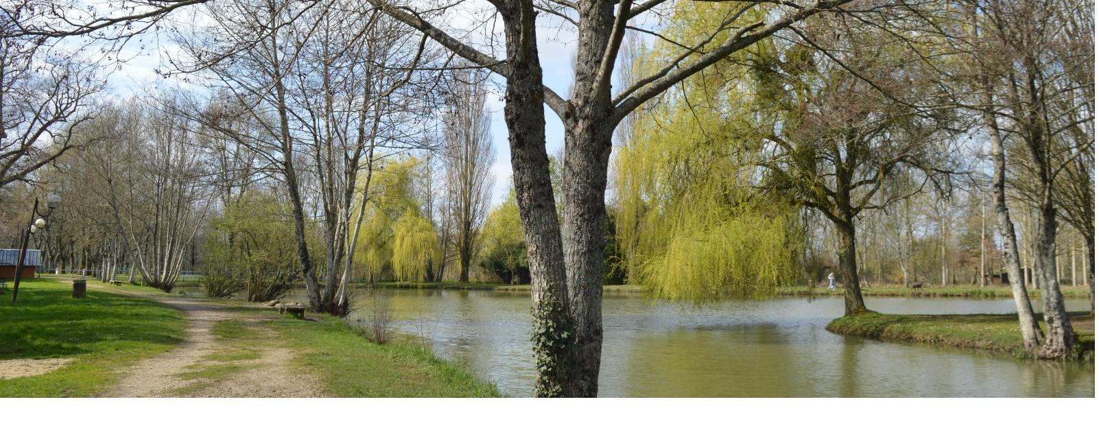 plan d'eau du marais