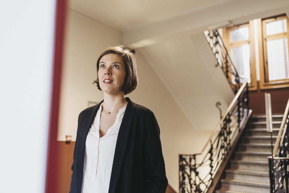 Chateau de Javarzay Chef-Boutonne