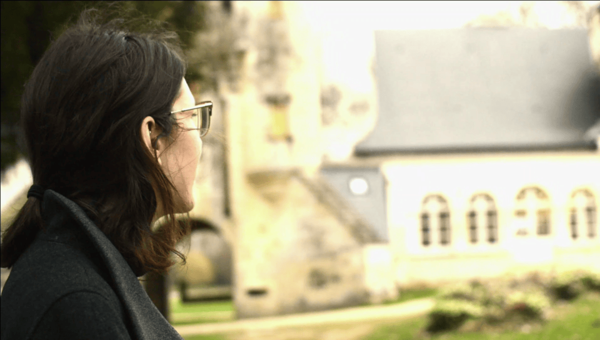 Chateau de Javarzay Chef-Boutonne