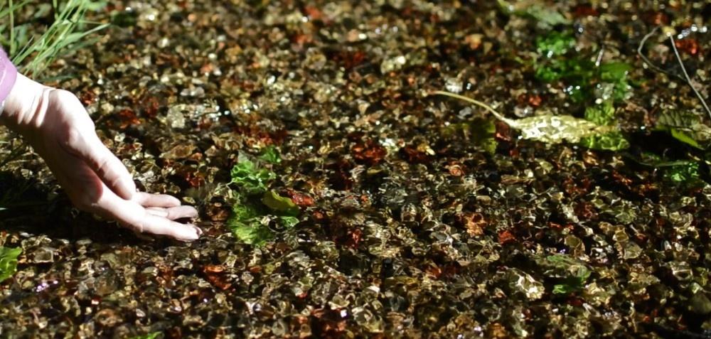 Secrets d'archives Secrets d'archives