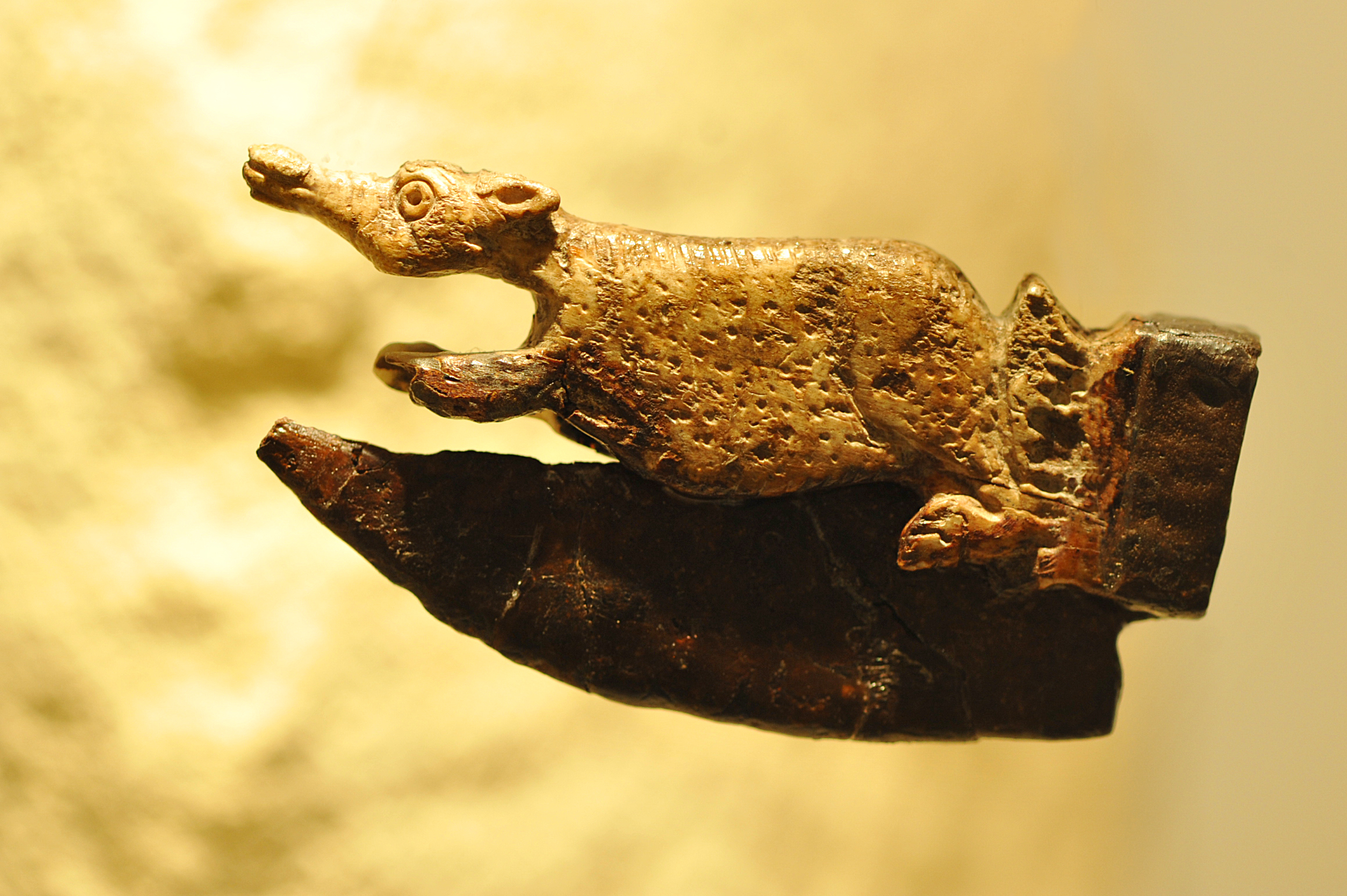 Musée de Rauranum à Rom