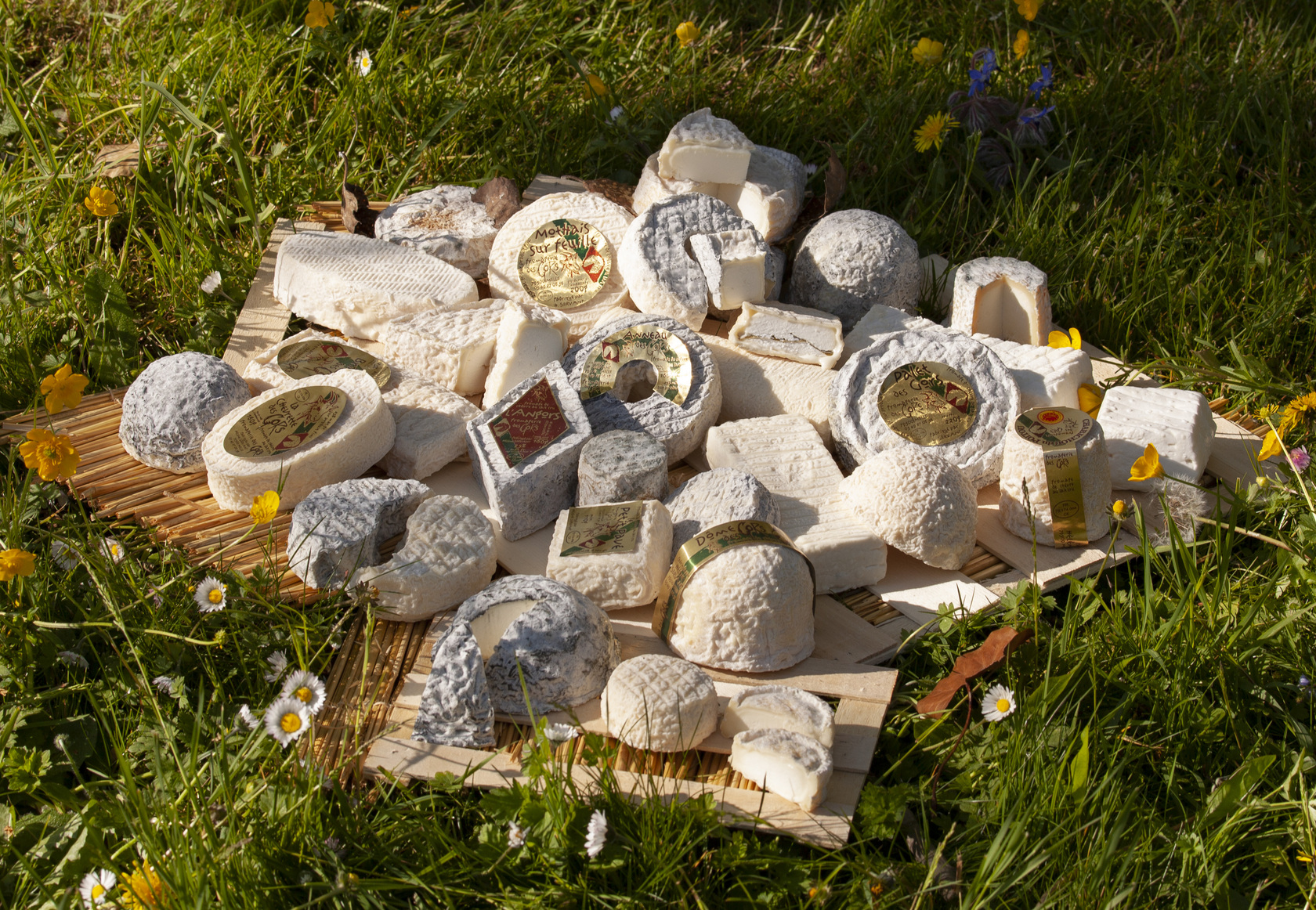 Fromagerie des Gors 