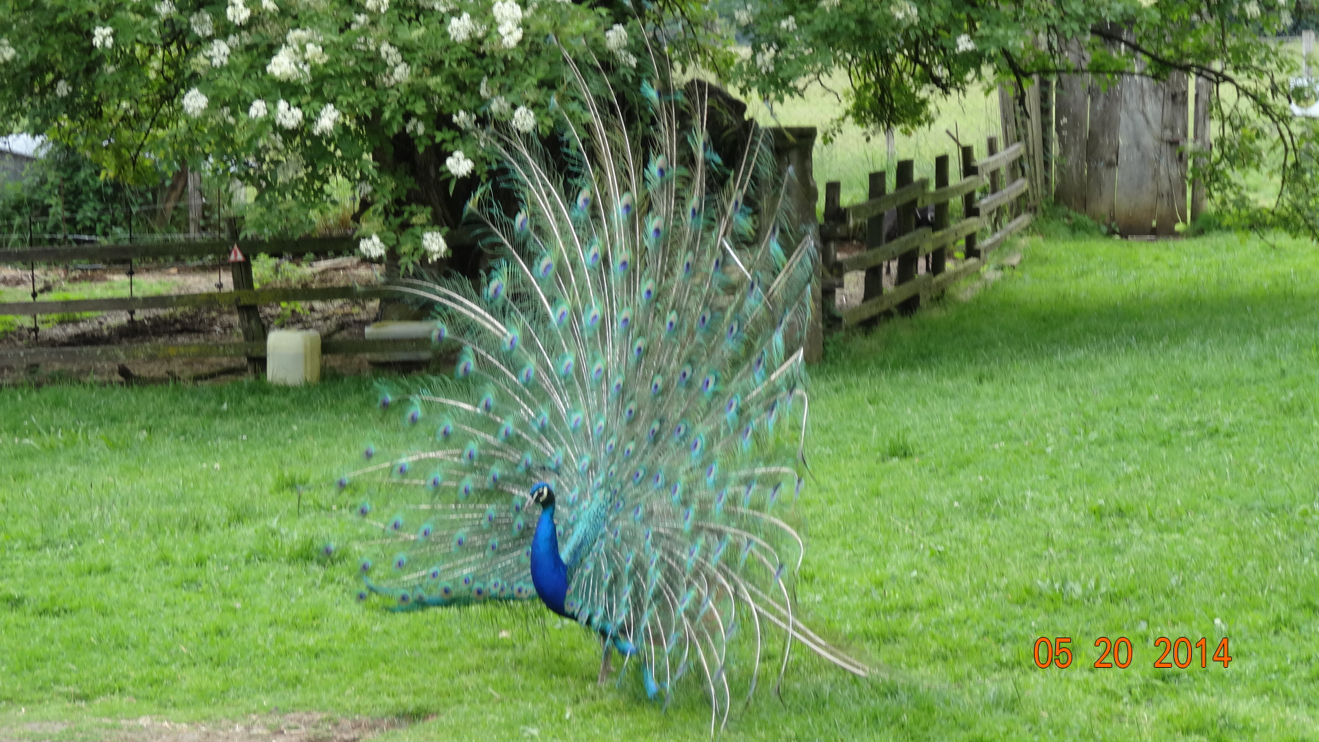 Ferme d'animation Le Loup Garou