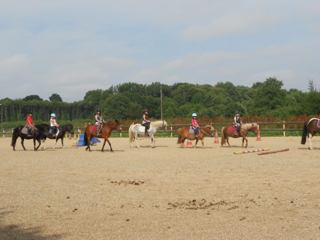 Centre équestre Le loup Garou